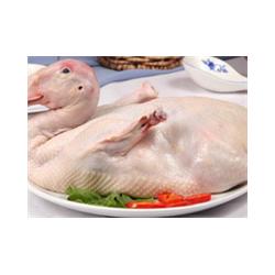 蘇州北半球食品 連接衢州生態(tài)養(yǎng)殖與高效配送的家禽供應(yīng)鏈